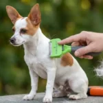 FURminator Undercoat deShedding Tool Review: Is It Truly Worth It in 2026?
