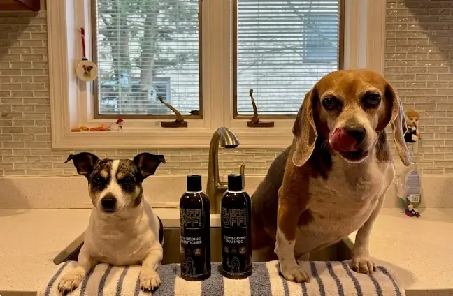 Girl With The Dogs Fluff Off Shampoo Review