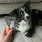 GoPets Dematting Comb Review: Is It Worth The Hype For Heavy Shedders?