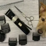 HEAPETS Dog Grooming Clippers Review: Is It Truly Quiet Enough for Your Anxious Pet?