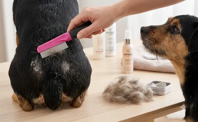 Hartz Groomer's Best Flea Comb displaying extra-fine dense stainless steel teeth design