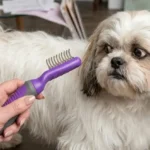 Hertzko Dematting Tool Review: Is This Single-Sided Comb Safe for Your Pet’s Sensitive Skin?