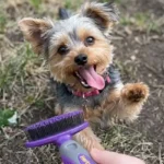 Hertzko Soft Slicker Brush Review: Is This Gentle Self-Cleaning Brush Safe for Sensitive Pet Skin? (2026 Edition)