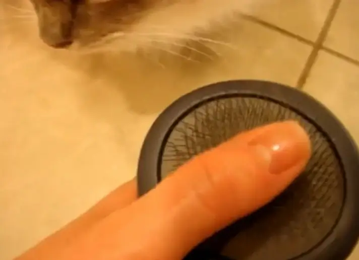 JW Pet Gripsoft Slicker Brush review