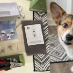 LOPSIC Dog Nail Grinder Review: Is This 4-LED Quiet Trimmer Safe for Sensitive Pets?