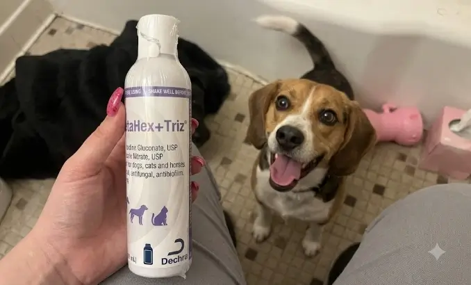 MiconaHex+Triz Shampoo Review