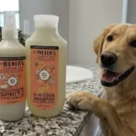 Mrs Meyer’s Dog Shampoo Review (White Peach): Is This 3-in-1 Formula Safe For Your Pup?