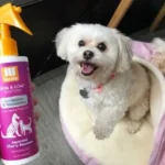 Nootie Japanese Cherry Blossom Daily Spritz Review: Is This Salon-Scented Spray Worth It?