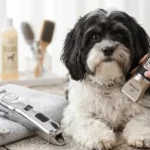 Oneisall Dog Clippers Review (2026): A Hands-On Test by a Dog Lover