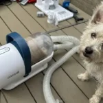 Honest Oneisall Dog Grooming Vacuum Review: Is This 7-in-1 Kit Worth It?