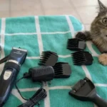 Oneisall Quiet Cat Clippers Review: Is It Truly Safe for Matted Hair?