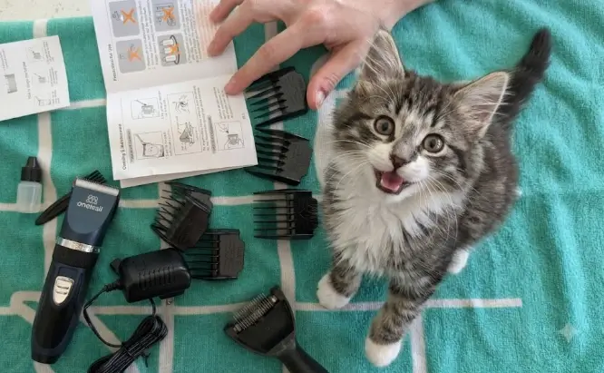 Oneisall Quiet Cat Clippers complete grooming kit presentation layout with guard combs