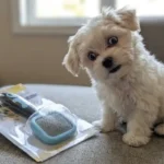 PETPAWJOY Slicker Brush Review: Is It Truly Safe for Sensitive Pet Skin?