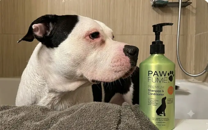 Pawfume Deshedding Dog Shampoo bottle featuring the luxury Show Dog scent profile layout