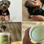 Pet MD Dog Ear Cleaner Wipes Review: A Pet Parent’s Honest Take (2026)
