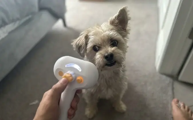 Pet Steam Brush 3-in-1 grooming tool visual architecture