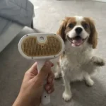 3 in 1 Pet Steam Brush Review: Is It Genuinely Worth Buying?