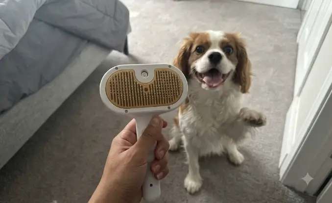 3 in 1 Pet Steam Brush Review