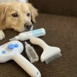An Honest Pet Steam Brush Review: Is This 3-in-1 Grooming Tool Worth It?