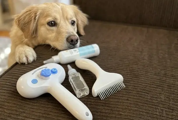 Pet Steam Brush Review