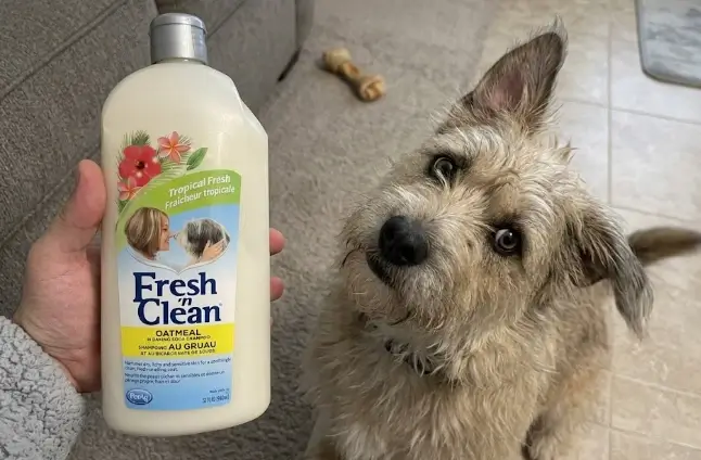 PetAg Fresh n Clean Oatmeal n Baking Soda Shampoo 32-ounce bottle overview