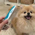 Piepea Pet Grooming Comb Review: Is This 2-in-1 Stainless Steel Comb Worth Buying?