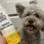 Skout’s Honor Probiotic Dog Shampoo Review: The Ultimate Sensitive Skin Solution?