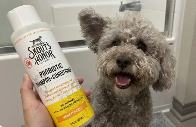 Skout's Honor Probiotic Dog Shampoo Review