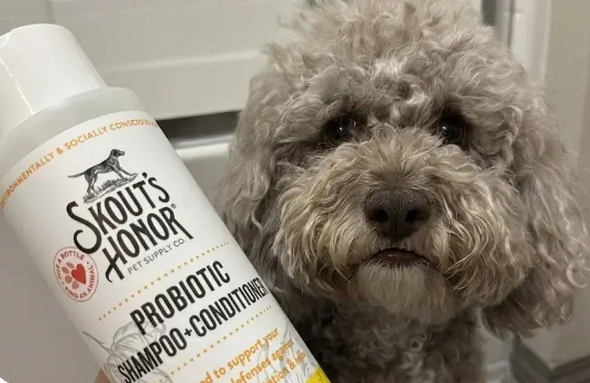 Skout's Honor Probiotic Dog Shampoo and Conditioner Dog of the Woods bottle overview