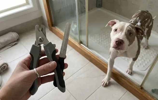 Tpotato Dog Nail Clippers highlighting the 3.5mm medical-grade stainless steel blade chassis and safety lock