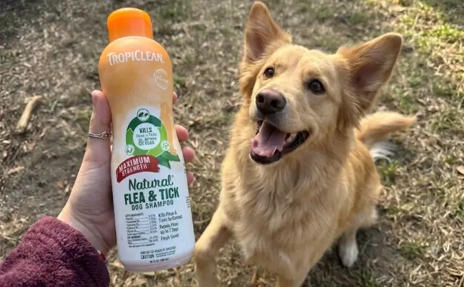 TropiClean Max Strength Flea and Tick Shampoo Review