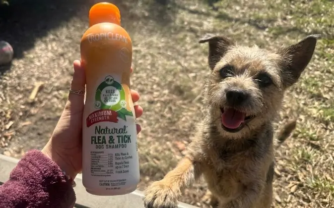 TropiClean Max Strength Flea and Tick Shampoo official 20oz bottle presentation layout