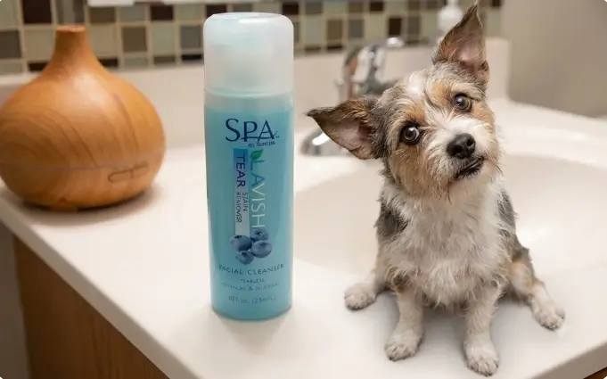 TropiClean SPA Tear Stain Remover Review
