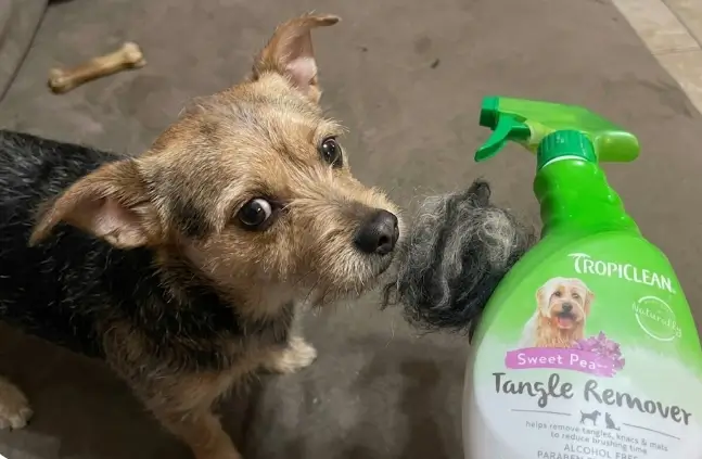 TropiClean Tangle Remover Review