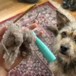 Uproot Cleaner Pro Review (2026): An Animal Lover’s Honest Take After 3 Months