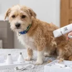 Veeconn 4-in-1 Pet Grooming Kit Review: The Quiet Solution for Anxious Pets?