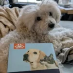 Veeconn Dog Clippers Grooming Kit Review: Is This 4-in-1 Tool Worth It for Sensitive Pets?