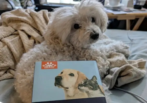 Veeconn Dog Clippers Grooming Kit Review