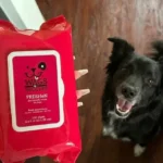 Wags & Wiggles Hypoallergenic Dog Wipes Review: Is It Safe for Ultra-Sensitive Paws?