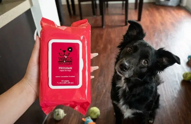 Wags and Wiggles Hypoallergenic Dog Wipes 100 count pack packaging profile