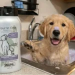 Wahl 4 in 1 Dog Shampoo Review (2026): Is It Safe for Sensitive Skin?