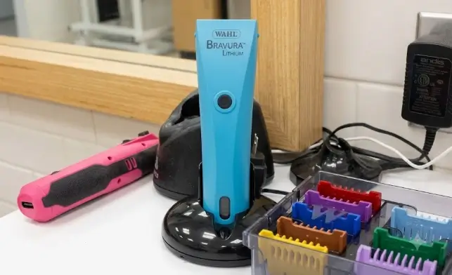 Hands-on grooming test of the Wahl Professional Animal Bravura clipper showcasing torque response on a dense coat