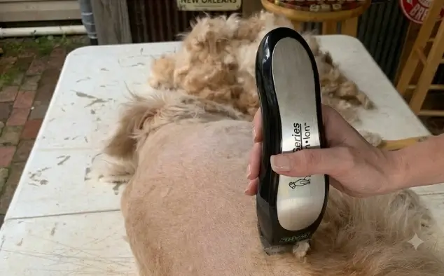 Wahl Lithium Ion Pro Series 9766 review