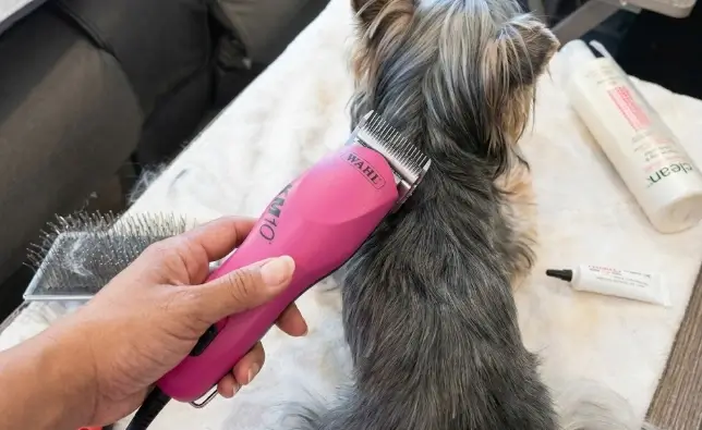 Wahl Professional Animal Thick Coat Clipper featuring the #7F Ultimate Competition Series full tooth blade layout