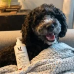 Warren London Hydrating Butter Review: Is It The Ultimate Dog Lotion For Dry Skin?
