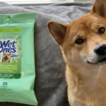 Wet Ones Hypoallergenic Dog Wipes Review: Is It Safe for Sensitive Skin?
