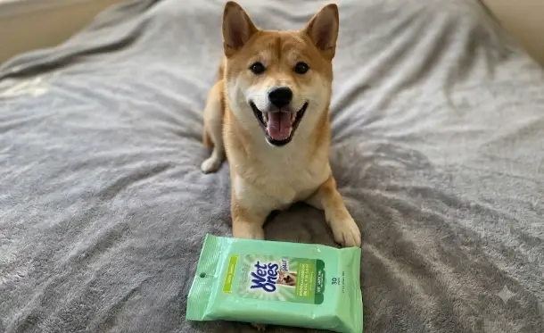 Wet Ones Hypoallergenic Dog Wipes 100 count soft package pouch presentation