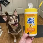 Wet Ones for Pets Dog Wipes Review: Is It Safe for Sensitive Paws?