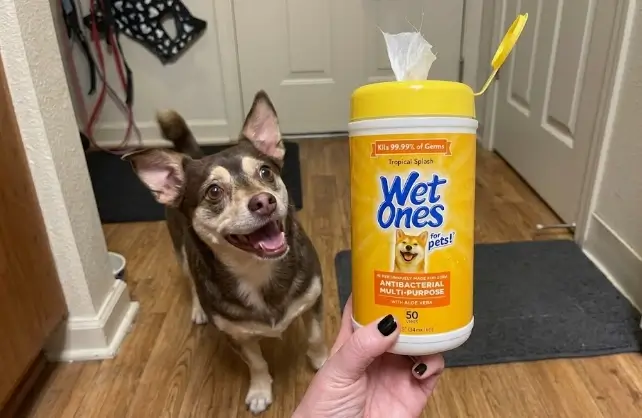 Wet Ones for Pets Dog Wipes Review