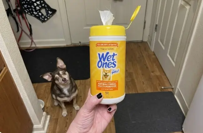 Wet Ones for Pets Antibacterial Dog Wipes packaging showcasing the durable plastic flip-top lid